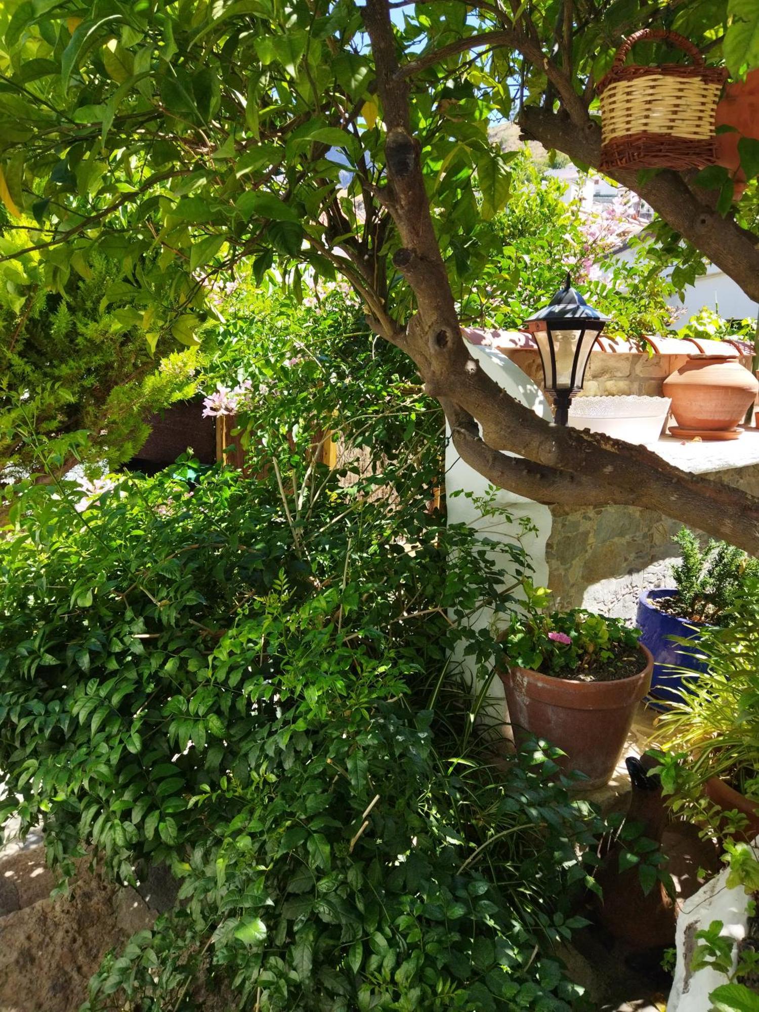 Casa Santana Segura Guest House Tejeda  Ruang foto